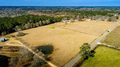 Drone View-8