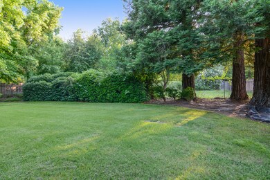 Private Backyard