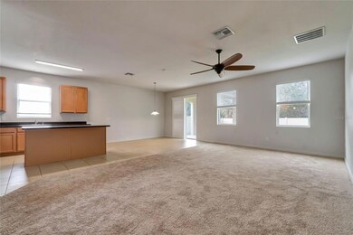 3803 Wind Dancer Cir, Saint Cloud, FL 34772 - photo 4