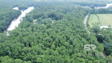0 Browns Landing Rd unit 383900, Seminole, AL 36574 - photo 5