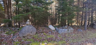 12 Bear Paw Trail unit 1-2, Littleton, NH 03561 - photo 2