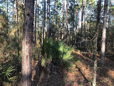 8965 SW 212th Ct, Dunnellon, FL 34431 - photo 5