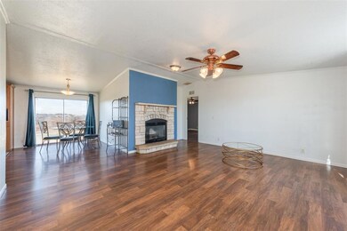 401 Big Salty Dr, Springtown, TX 76082 - photo 6