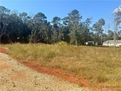 Lot 23 Spirit of the Forest Ln, Folsom, LA 70437 - photo 2