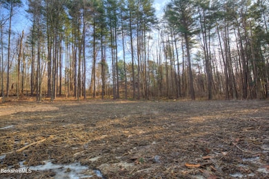13RattlesnakeMtnRd_16