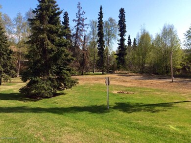 Backyard Area