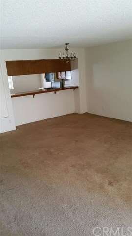 Dining area combined with living room