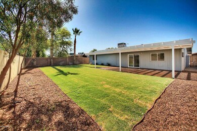 HiltonBackyard 2