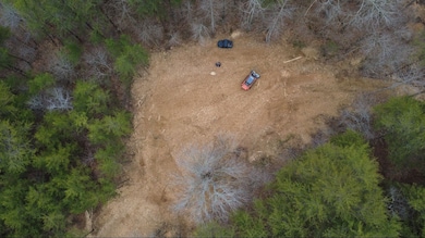 0 Allens Creek Rd unit RTC3007283, Hohenwald, TN 38462 - photo 4