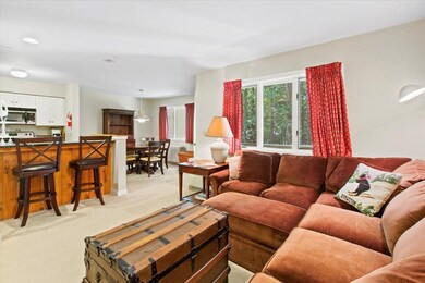 85 E Birch Rd unit 7, Stratton, VT 05360 - photo 6