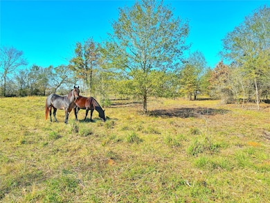 664 County Road 3355, Crockett, TX 75835 - photo 4