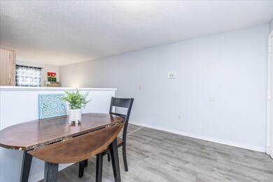 381 Hildreth St unit 106, Lowell, MA 01850 - photo 5