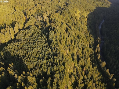 0 S Dickey Prairie Rd unit 24012878, Molalla, OR 97038 - photo 5