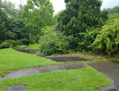 103 Locust Ave SW, Norton, VA 24273 - photo 2