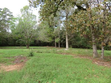 28211 Hickory Hill Dr, Hockley, TX 77447 - photo 2