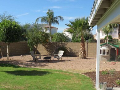 backyard 3