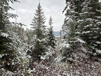 Tbd Deer Creek Rd, Valley, WA 99181 - photo 4