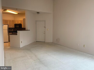13068 Autumn Woods Way unit 201, Fairfax, VA 22033 - photo 2