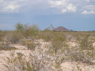 Additional Views