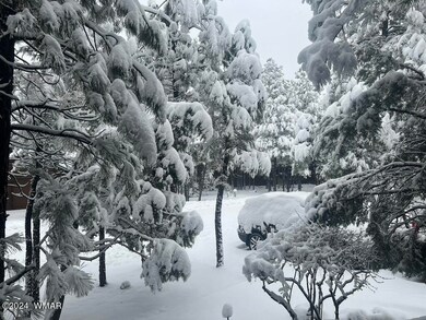 Front in Snow