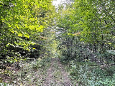 VT Vermont Route 100, Weston, VT 05161 - photo 2