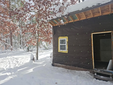 7106 Michigan 37, Irons, MI 49644 - photo 5