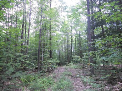 141 Sparling Hill Rd, Unity, NH 03743 - photo 4