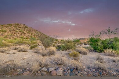 01-McDowell