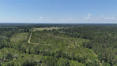 0 Deer Run Rd, Vidalia, GA 30474 - photo 6