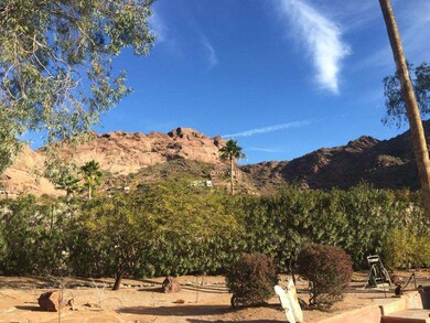 Backyard View