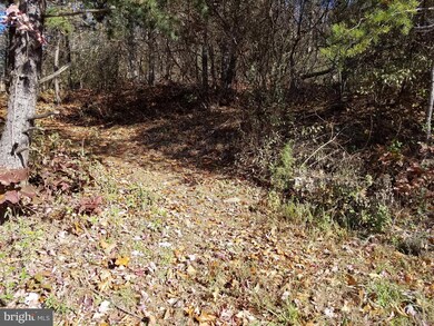 0 Golden Russet Dr unit 1004130541, Linden, VA 22642 - photo 2