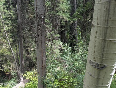 11319 E Tanglewood Dr unit 654, Timber Lakes, UT 84032 - photo 4