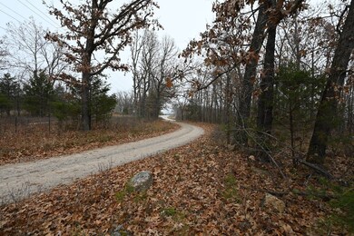 21010 Trailing Vine Ln, Lebanon, MO 65536 - photo 3