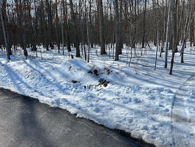 image0 (1)