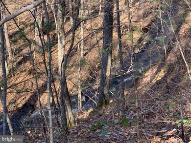 10 Cross Creek Dr, Wardensville, WV 26851 - photo 2