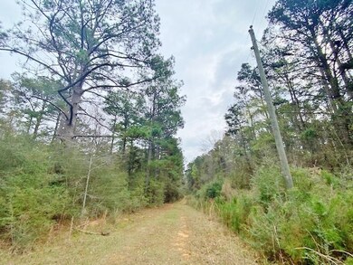 0 Ferguson Cir, McComb, MS 39648 - photo 2