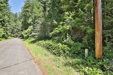 0 Pinewood Cir, Langley, WA 98260 - photo 4