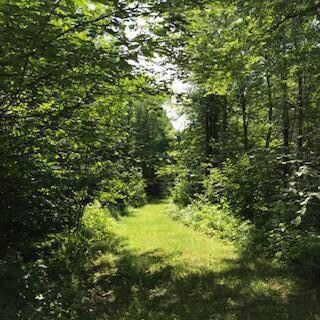 IMG_1525