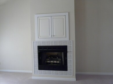 Fireplace in Great Room