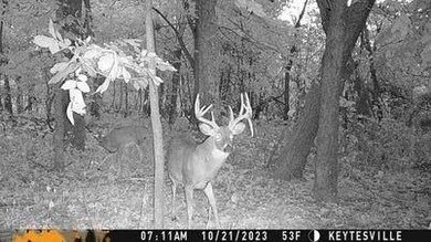 0 24 Hwy Hwy unit HMS2565633, Keytesville, MO 65261 - photo 5