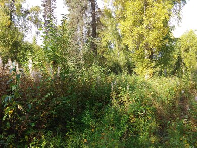 23815 Vintage Dr, Trapper Creek, AK 99683 - photo 2