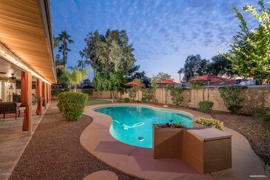TRANQUIL OASIS