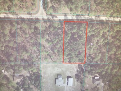0 SW 78 Place unit MFROM677483, Dunnellon, FL 34432 - photo 3
