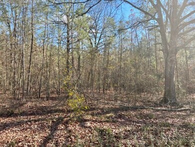 2004 County Road 915, Nacogdoches, TX 75964 - photo 3