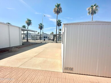 REAR OF SHED