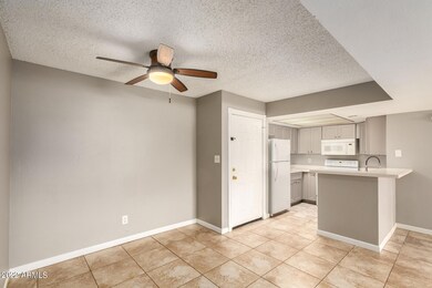 Kitchen / Family Room