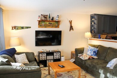 2549 Trout Brook Ln unit 2549, Carrabassett Valley, ME 04947 - photo 2