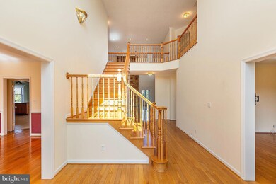 148 Signal Ct, Strasburg, VA 22657 - photo 3