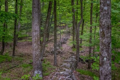 0 Mossy Hill Rd unit KEY862648, Catskill, NY 12414 - photo 6