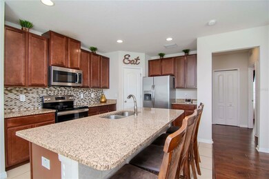 10376 Hawks Landing Dr, Land O' Lakes, FL 34638 - photo 7